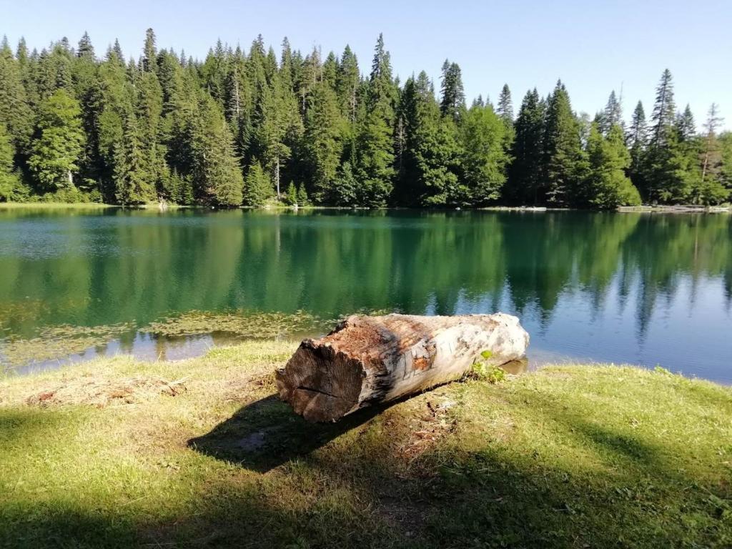 Camp Zabojsko lake photo 2