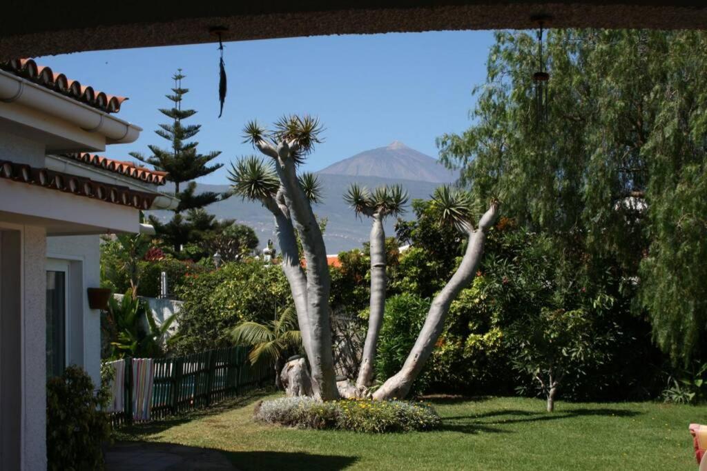 Villa Dragos photo 1