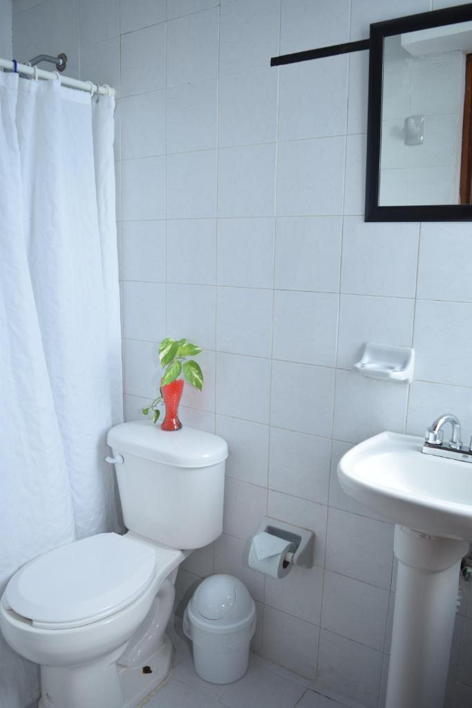 Апартаменты (Двухуровневые апартаменты), Hotel Suites Le Monde