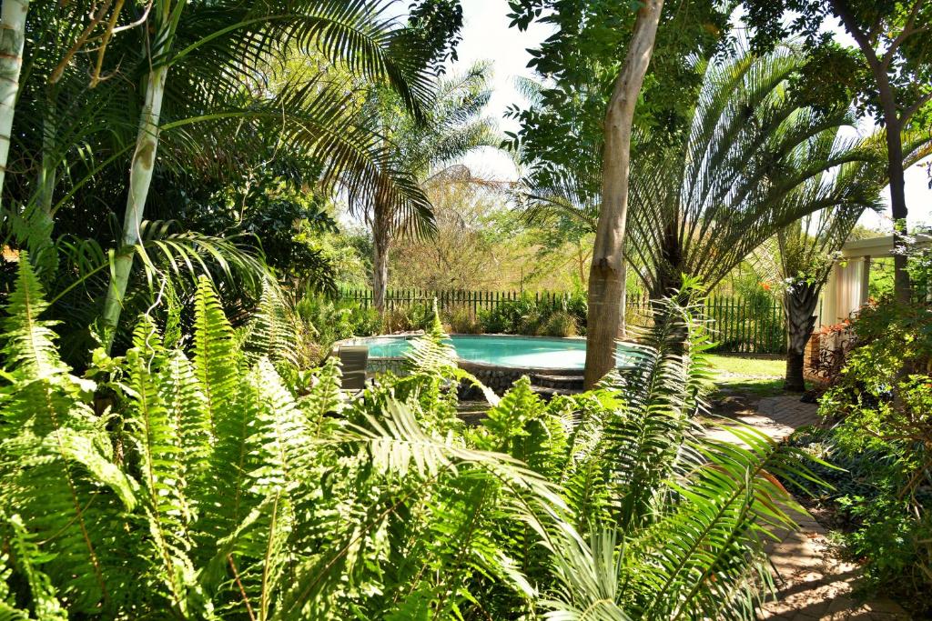 Chobe River Cottages photo 3