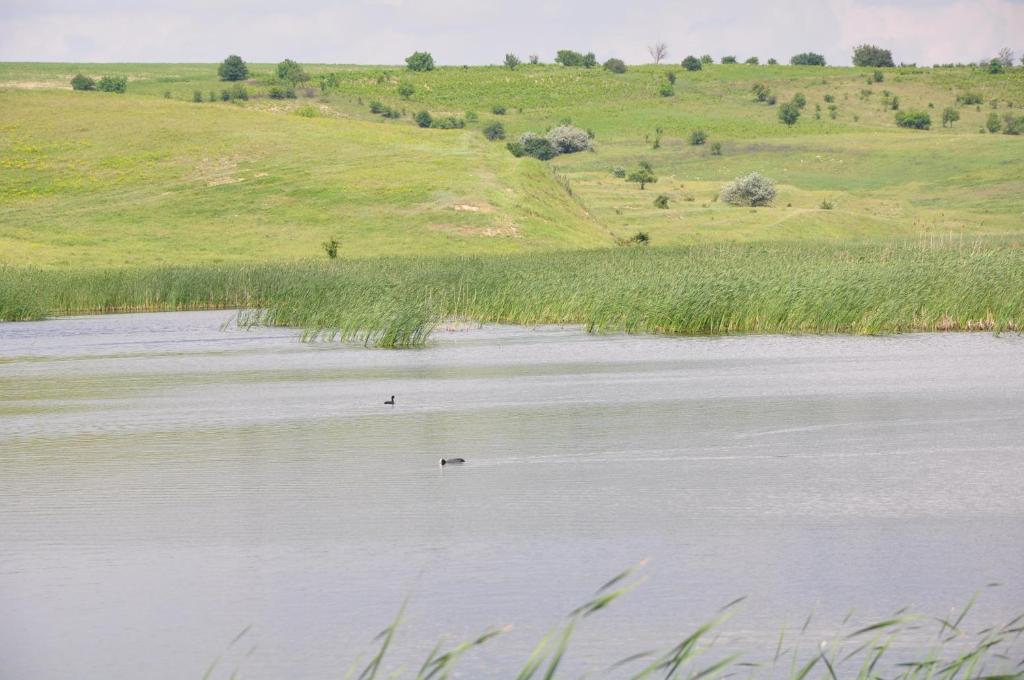 Двухместный (Двухместный номер с 2 отдельными кроватями и видом на озеро), Complex Domneasca