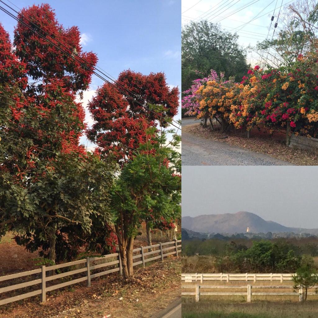 Coombs Cottage, Khaoyai, Mu Si photo 4