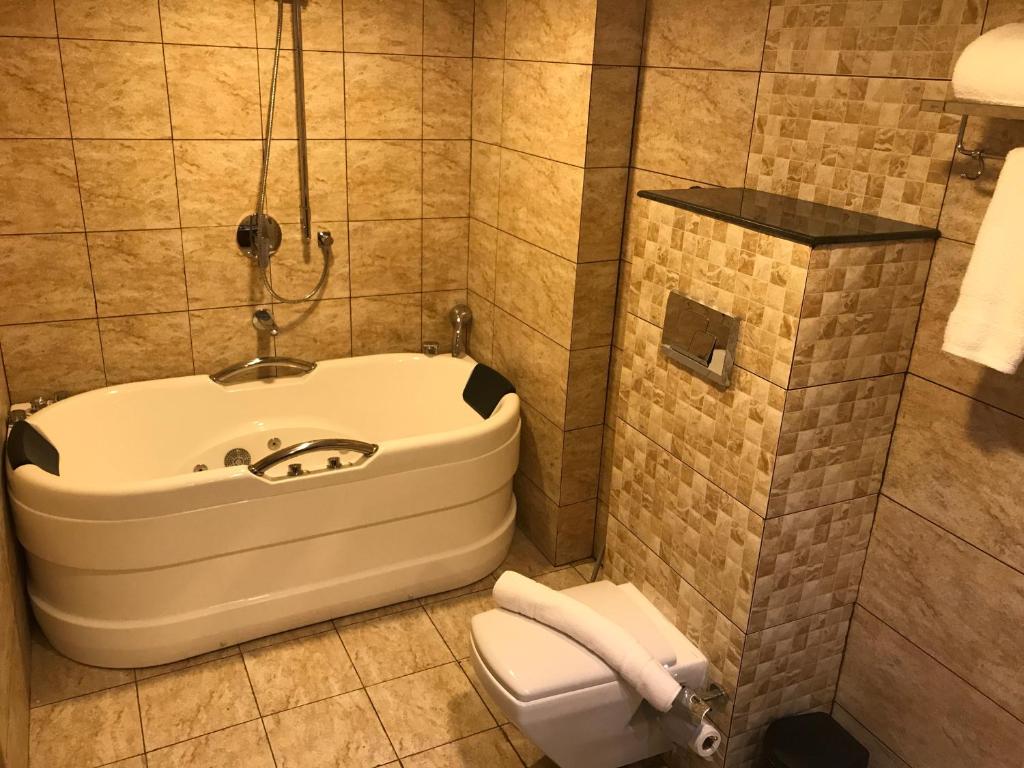 Сьюит (Люкс), Hotel Karthika Park