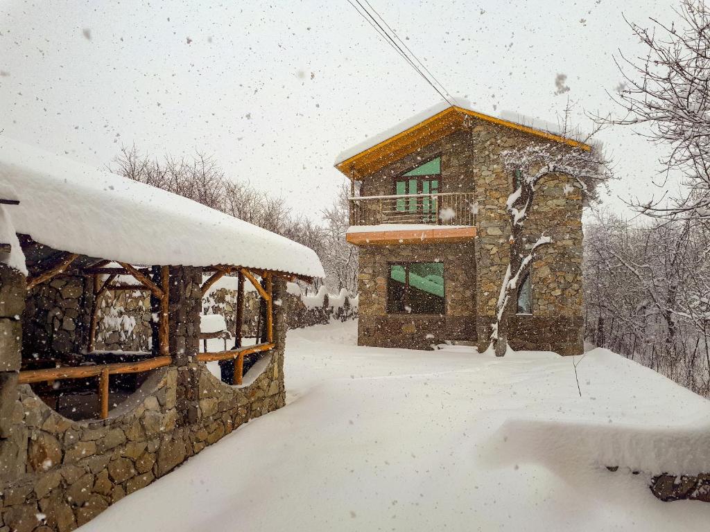 Paradise Guest House photo 4