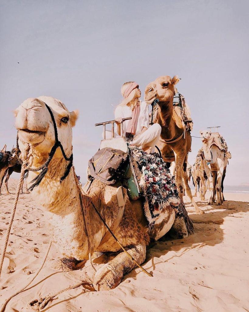 Merzouga Magic Camp photo 3