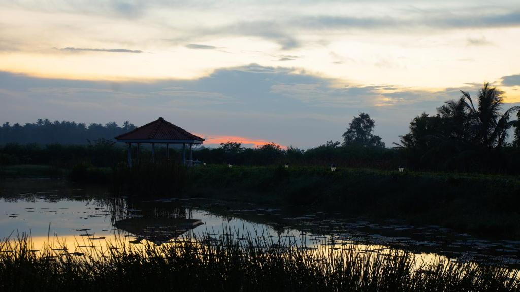 Ayubowan Swiss Lanka Bungalow Resort photo 4