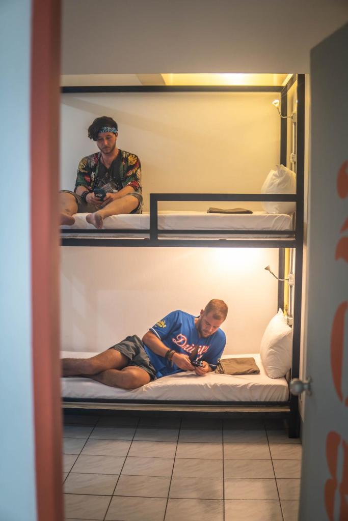 Номер (Кровать в общем 4-местном номере для мужчин и женщин), Mad Monkey Cebu City