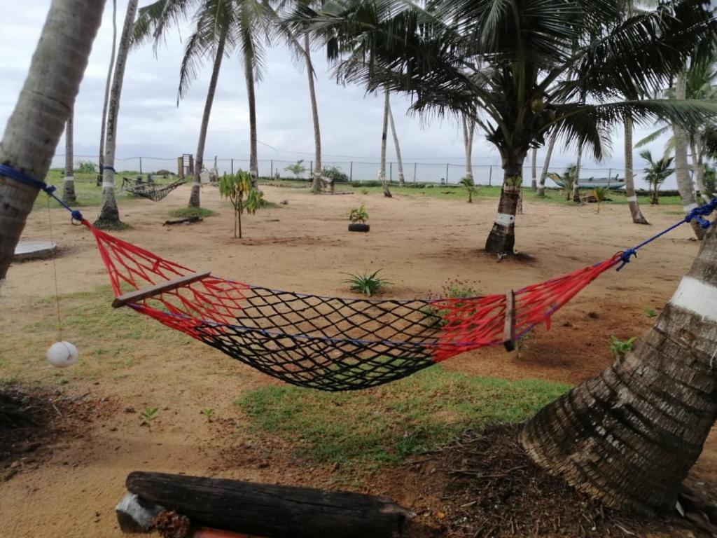 Sea View Resort photo 1