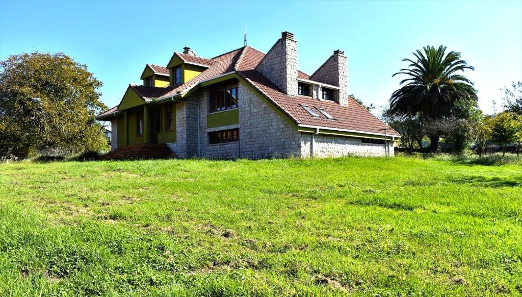 Casa Camelia photo 4