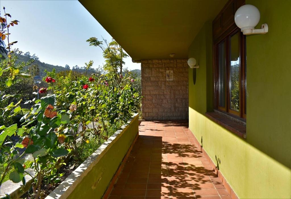Casa Camelia photo 2