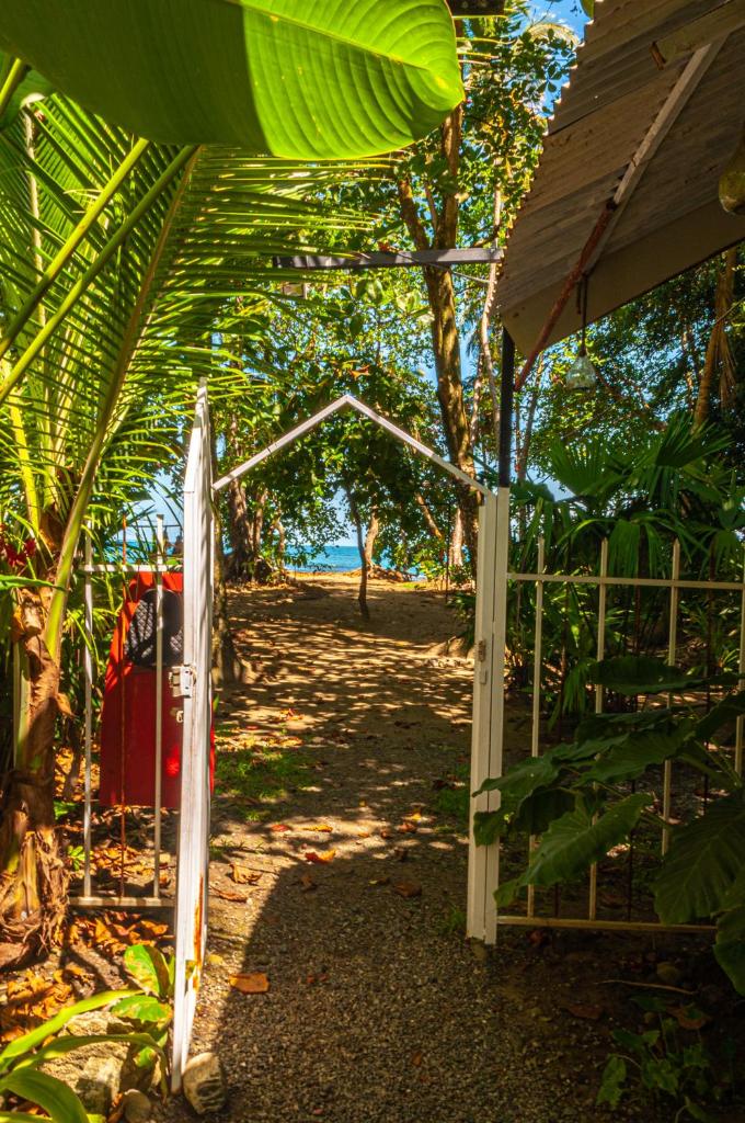 Casitas La Playa photo 2