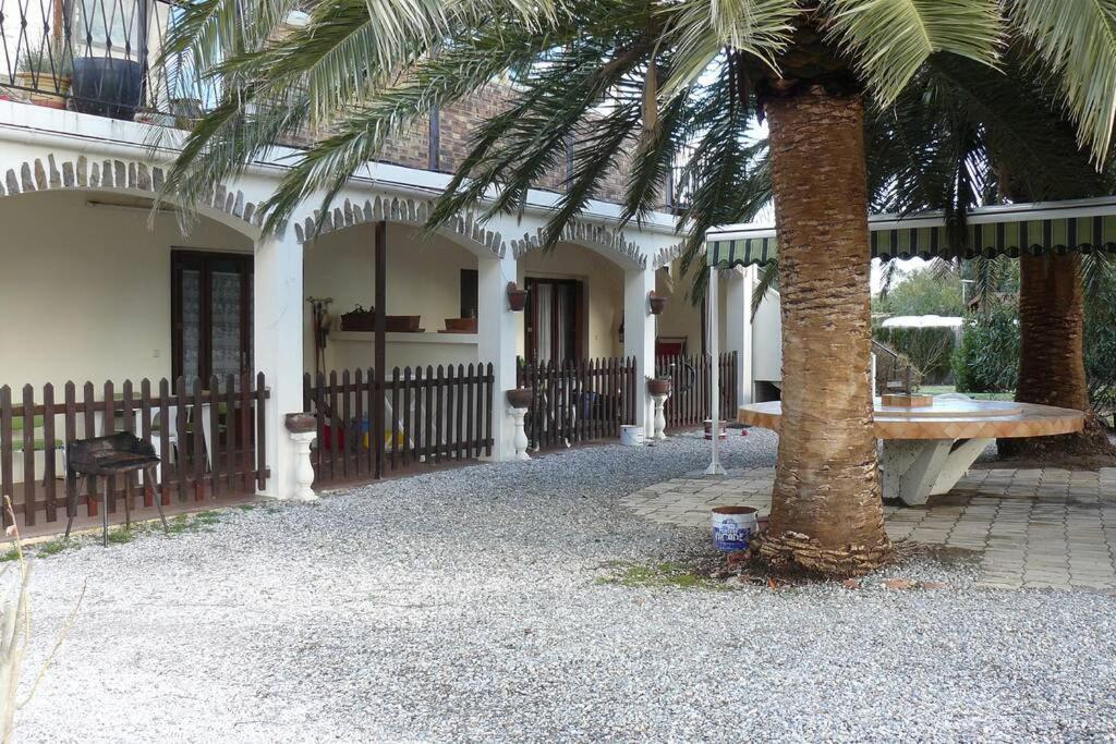 Location avec piscine et parking (n°2p) photo 3