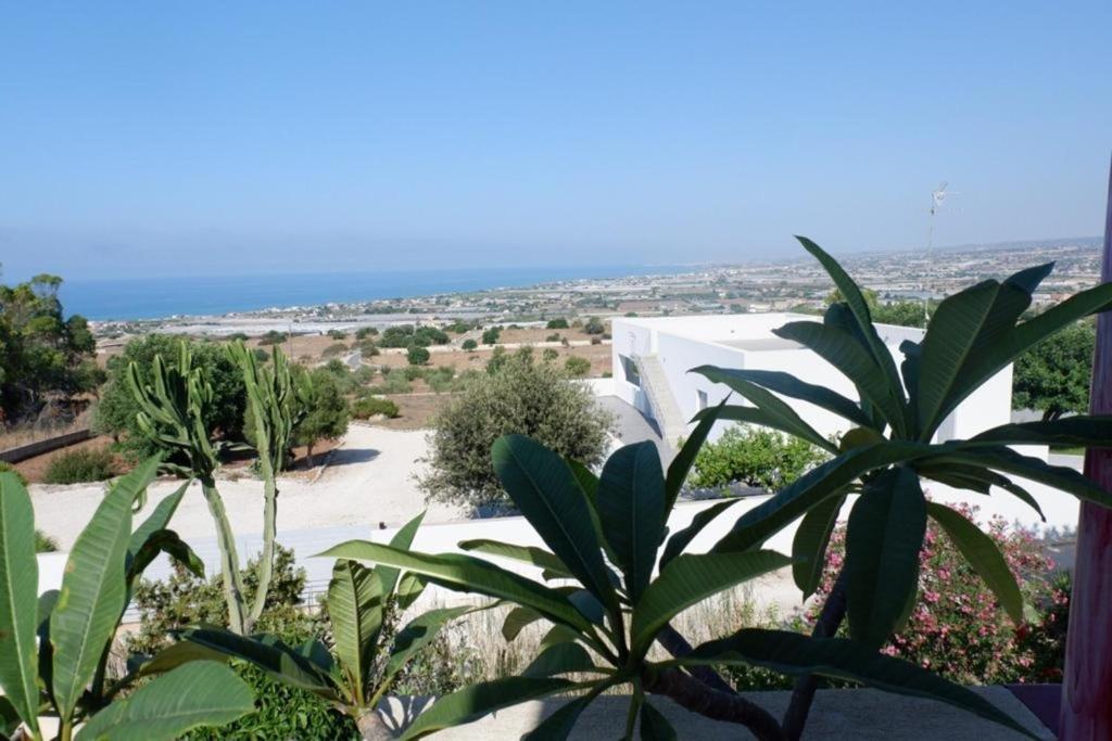 Surra Mediterranean Apartments photo 4