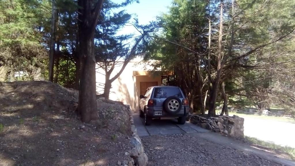 Las Moras photo 4