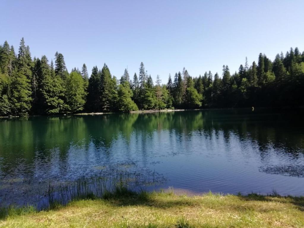 Camp Zabojsko lake