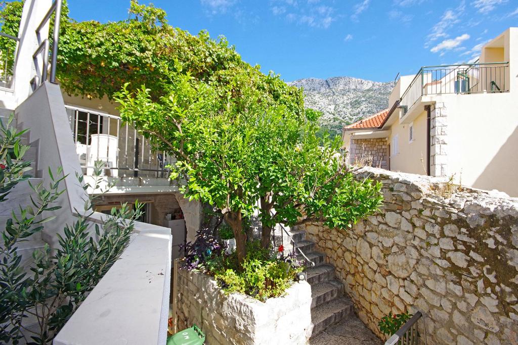 Villa Igrane photo 4