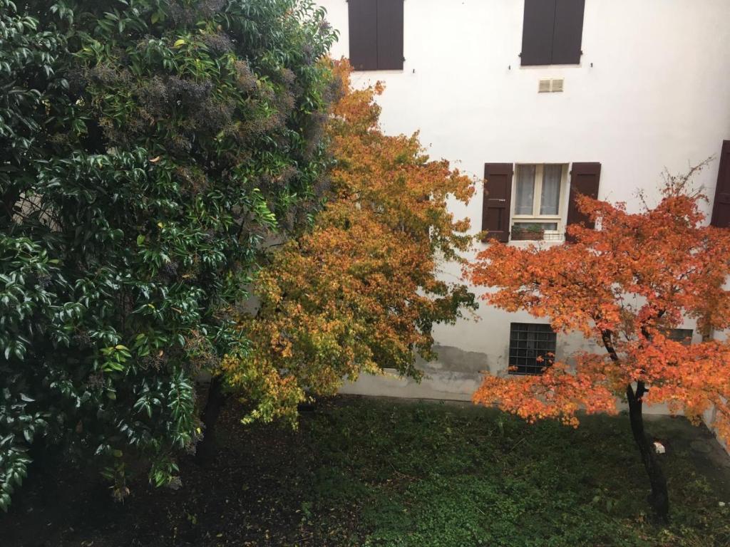 DIMORA CECILIA, nel cuore della città photo 1