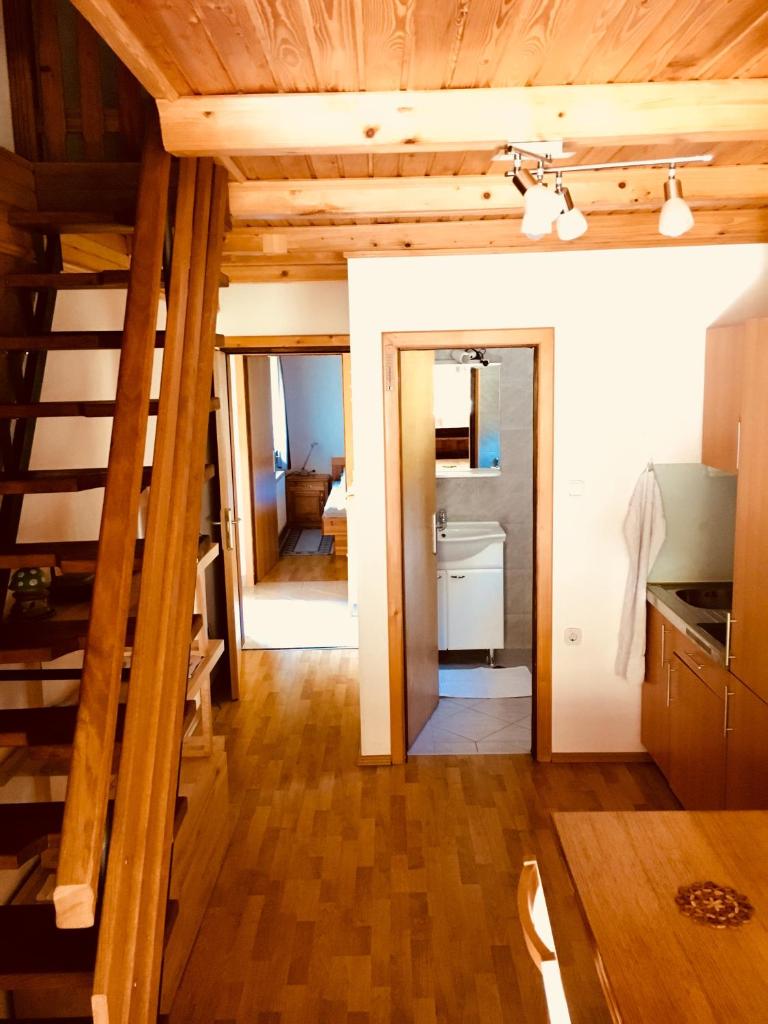 Apartment Tisa photo 2