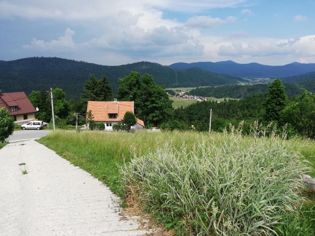 Zeleni brig photo 2