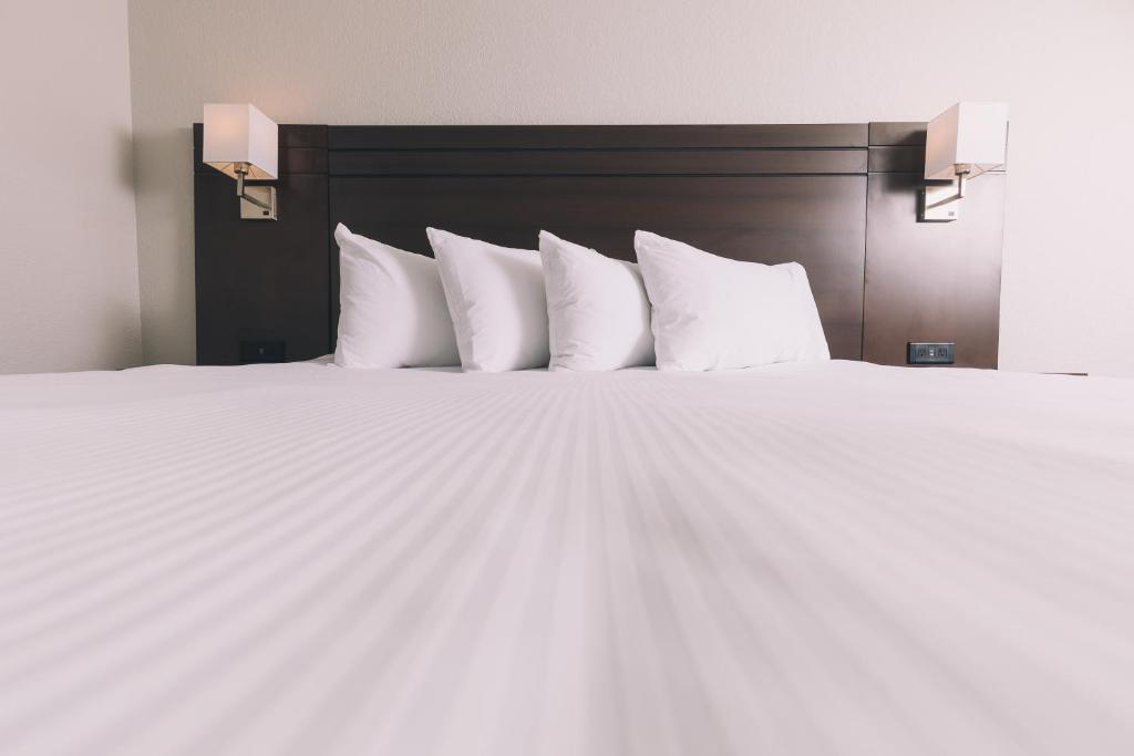 Service Plus Inns and Suites photo 4