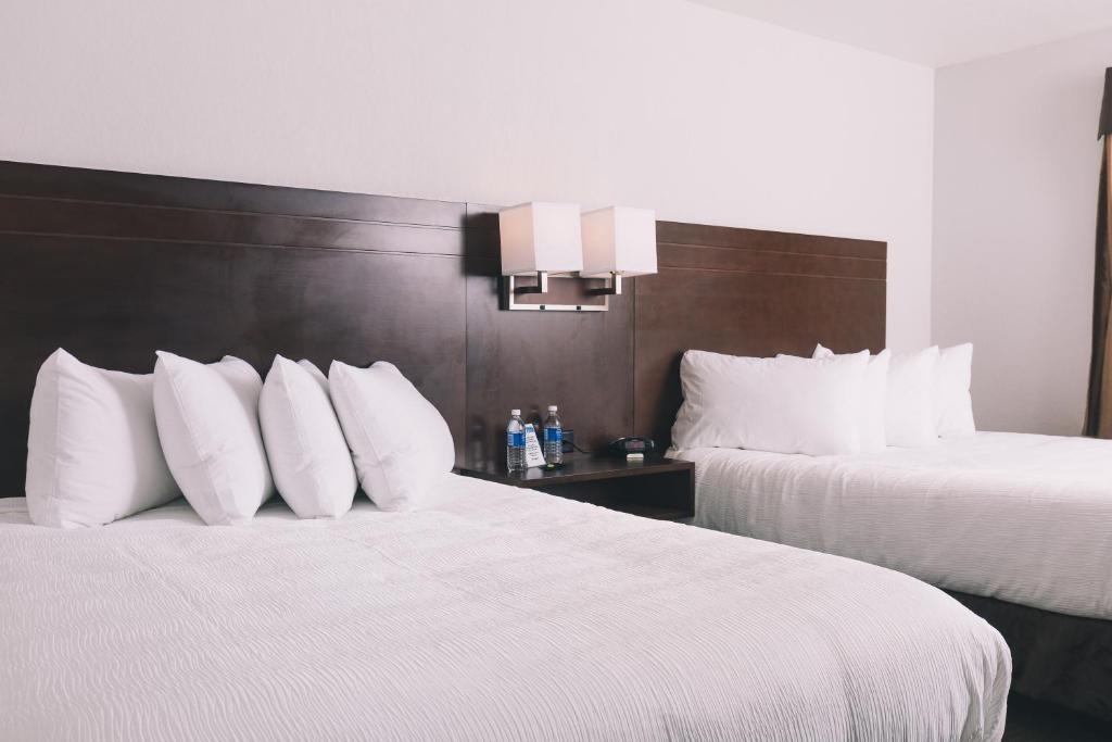 Service Plus Inns and Suites photo 1