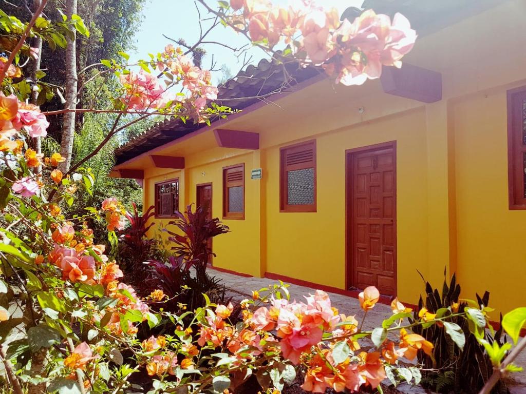 Meson Yohualichan photo 2