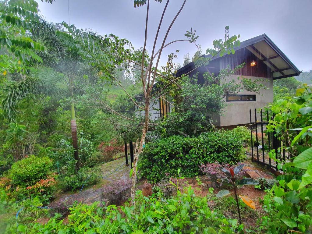 Willow's Abode photo 1
