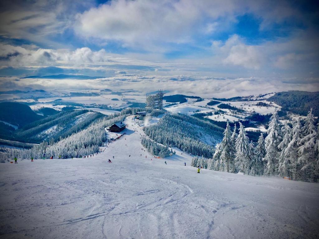 Penzion Dolní Morava photo 4