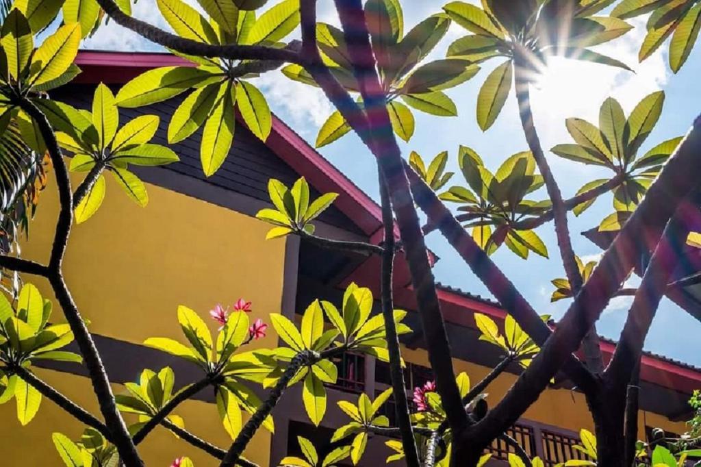 Lanna Boutique Resort photo 3
