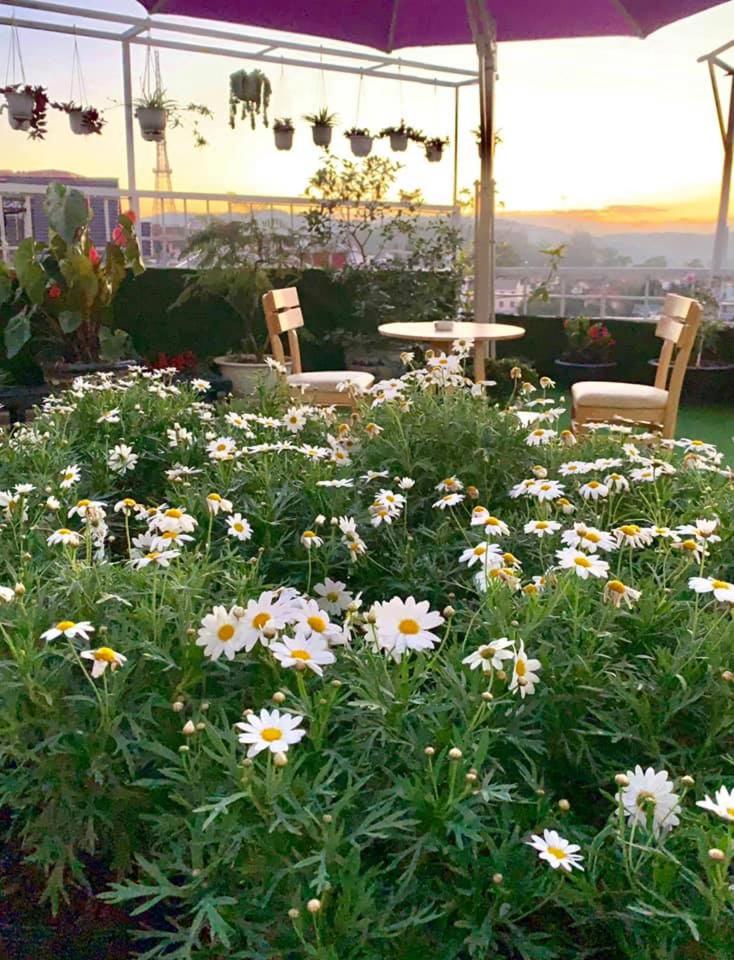 Giao Giao Homestay Dalat