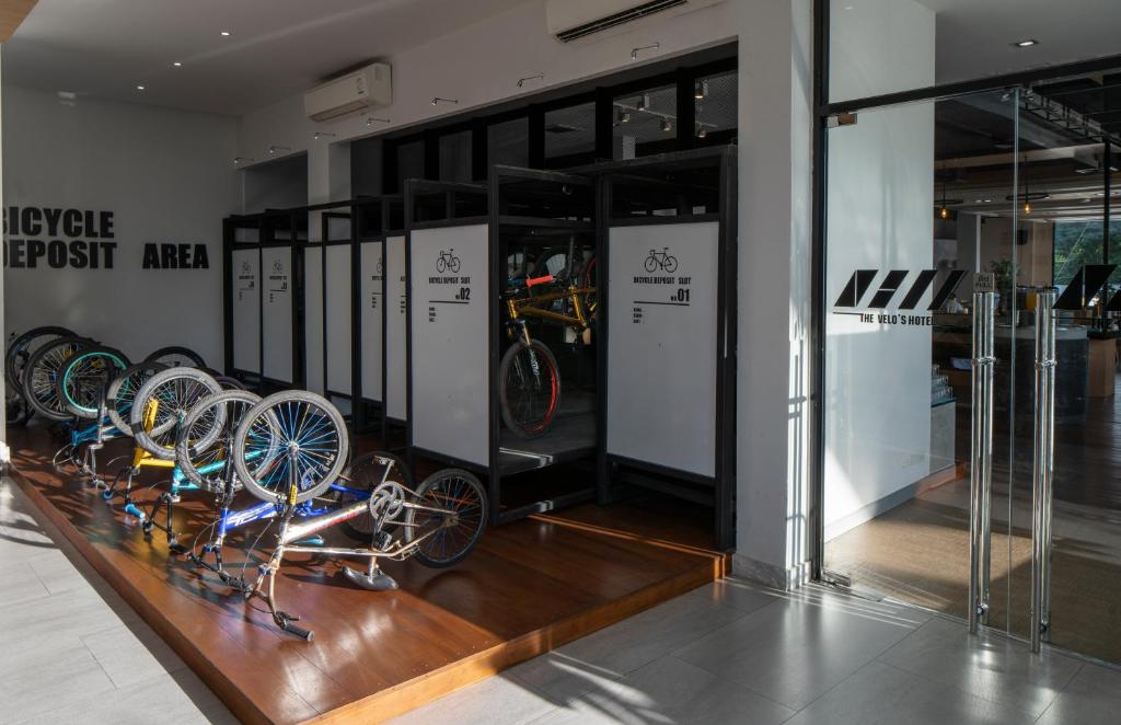 The VELO'S Hotel and Pumptrack photo 2