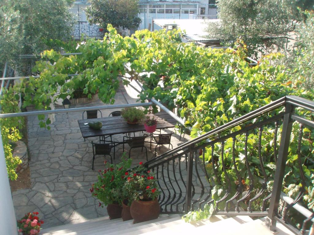 il giardino photo 3