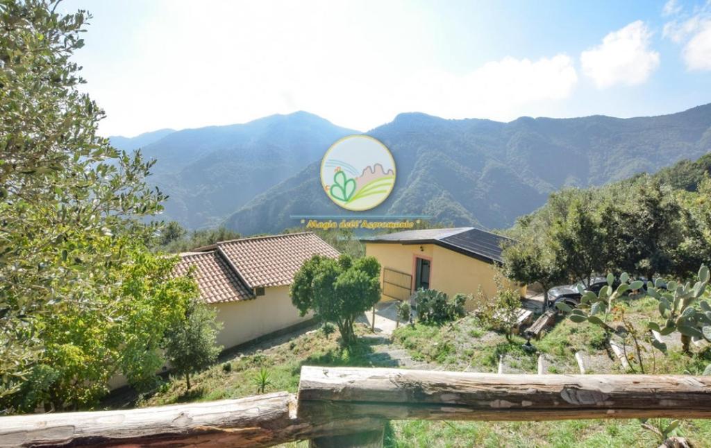 Magia dell'Aspromonte photo 1
