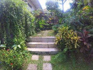 Mamo Hotel Uluwatu photo 4