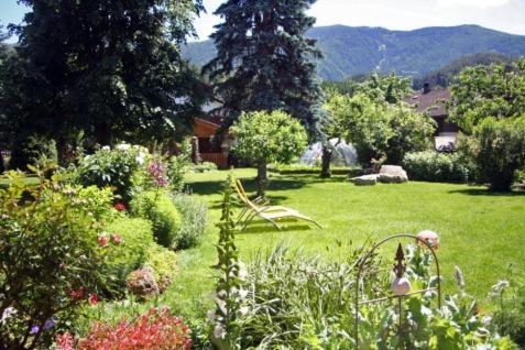 Burgblick photo 3