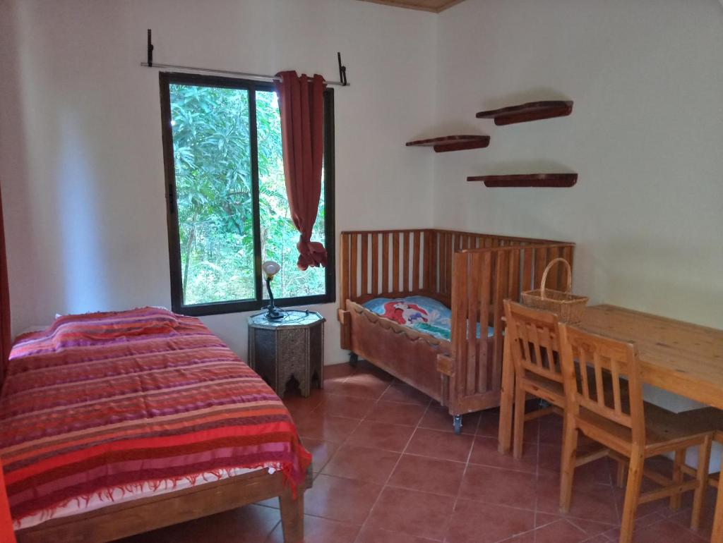Blanconejo de Montezuma photo 3
