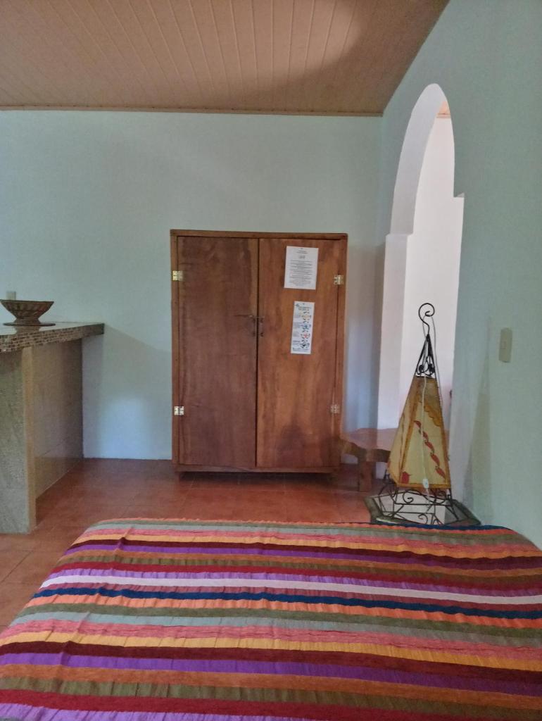 Blanconejo de Montezuma photo 2