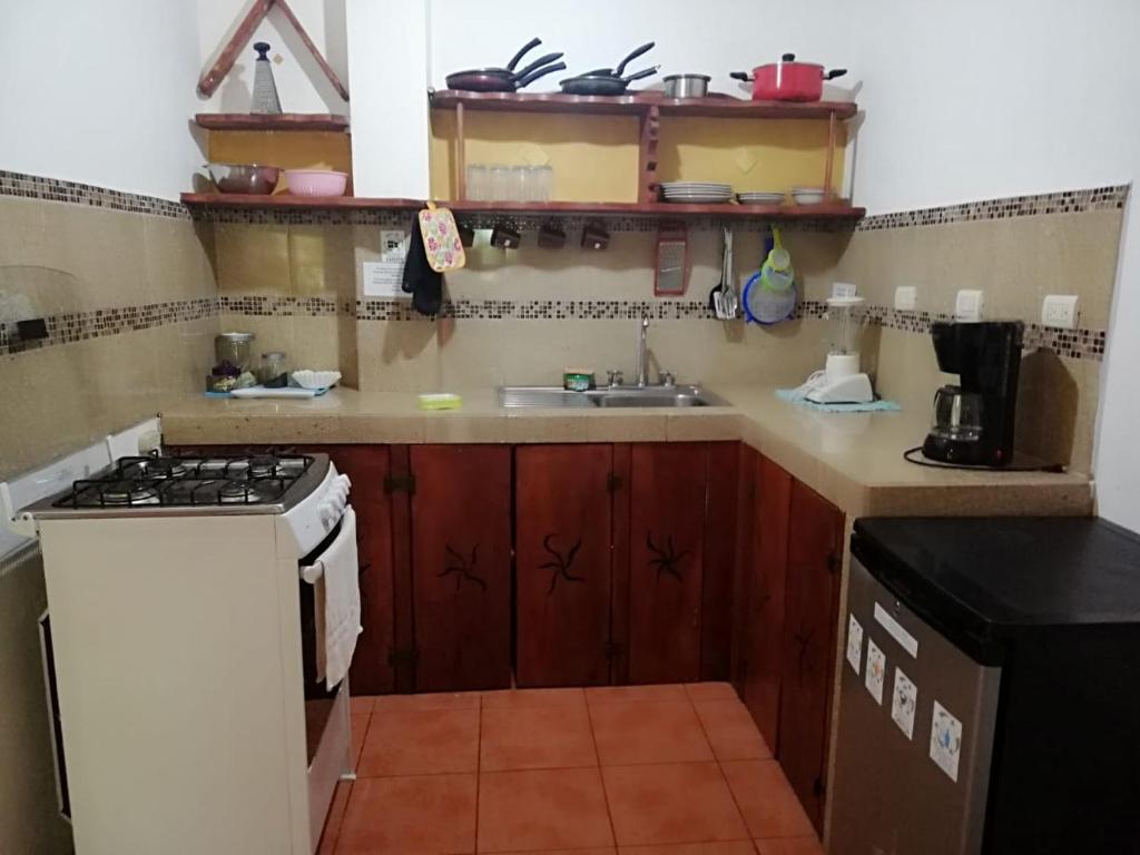 Blanconejo de Montezuma photo 1