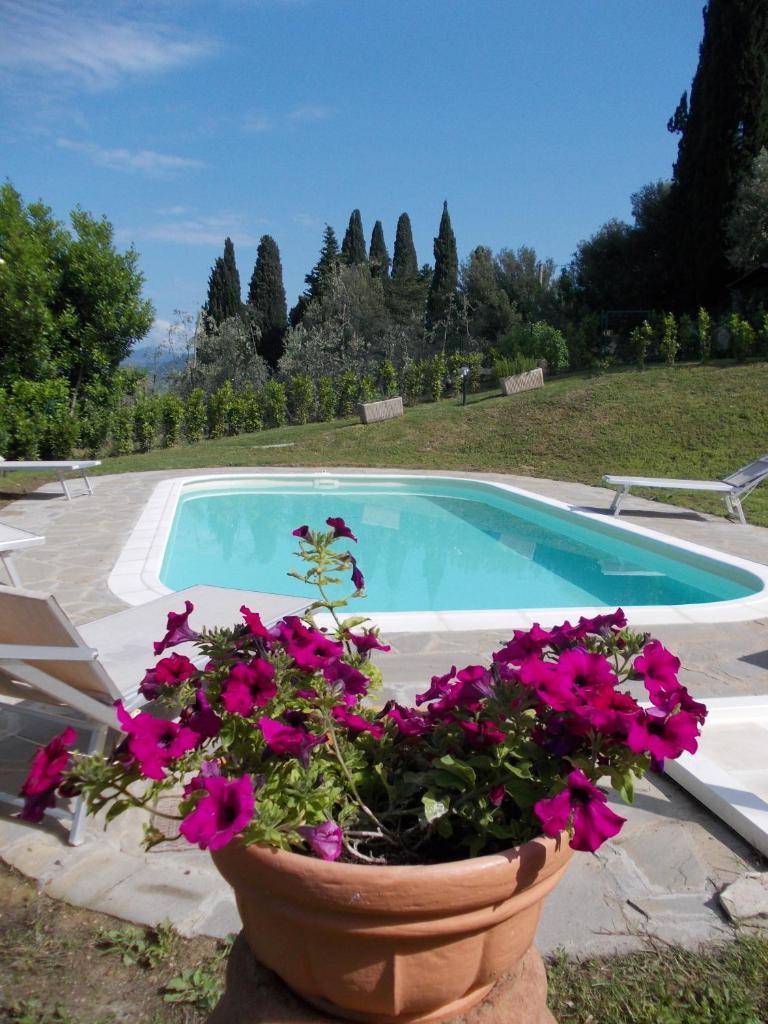Il Palagetto photo 1