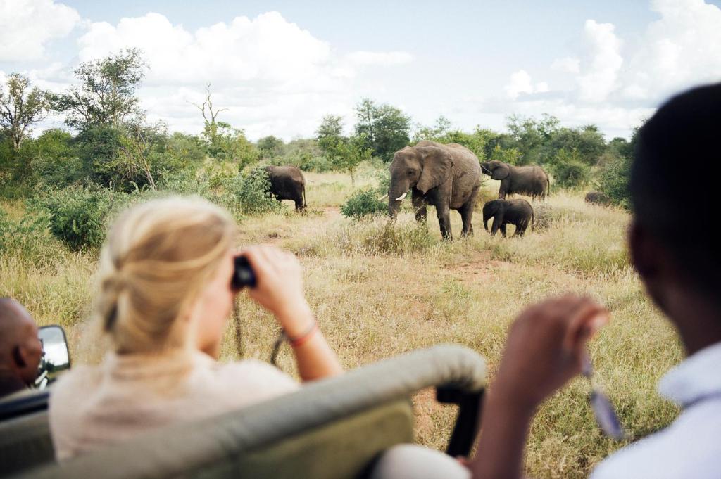 Tanda Tula Safari Camp photo 4