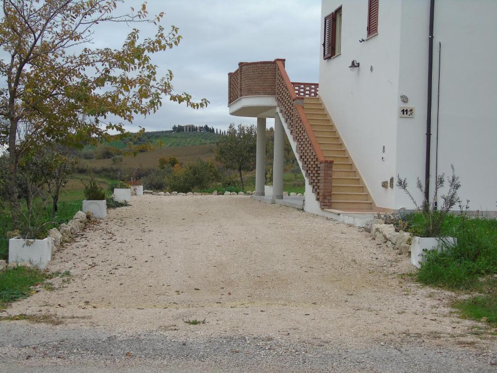 il pettirosso photo 4