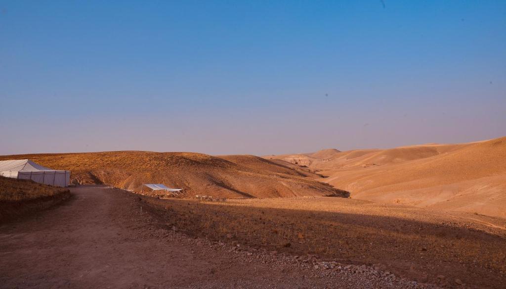 Camp Cameleon photo 3