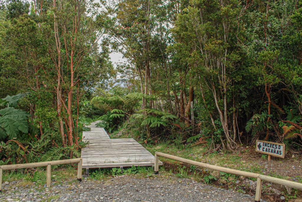 Chucao Bosque y Cabañas photo 4