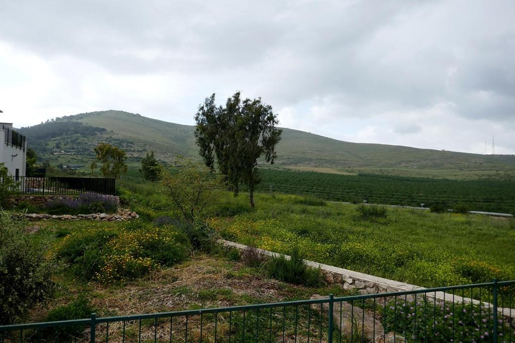 נוריות בגלבוע 1 photo 3