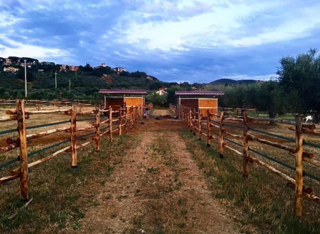 Agriturismo Quattro Pini photo 3