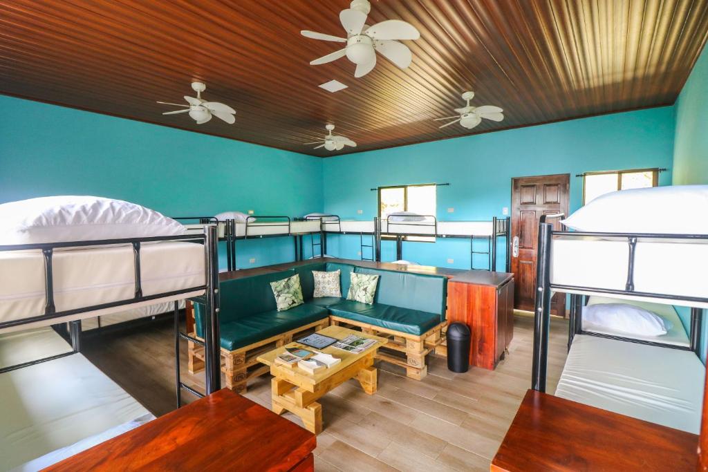 Teva Hotel & Jungle Reserve photo 4