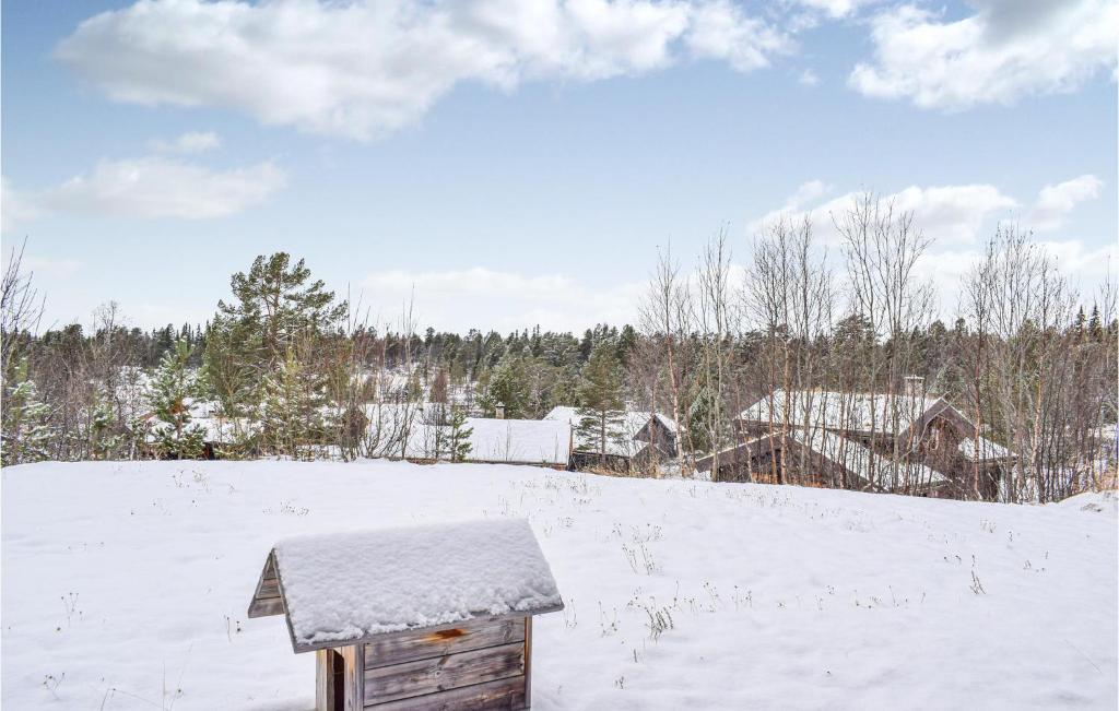 Awesome Home In Rauland With 3 Bedrooms And Wifi photo 2