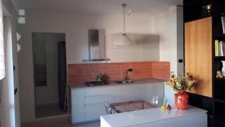 GUFO VERDE photo 1