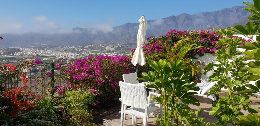 Bungalow La Datura photo 1