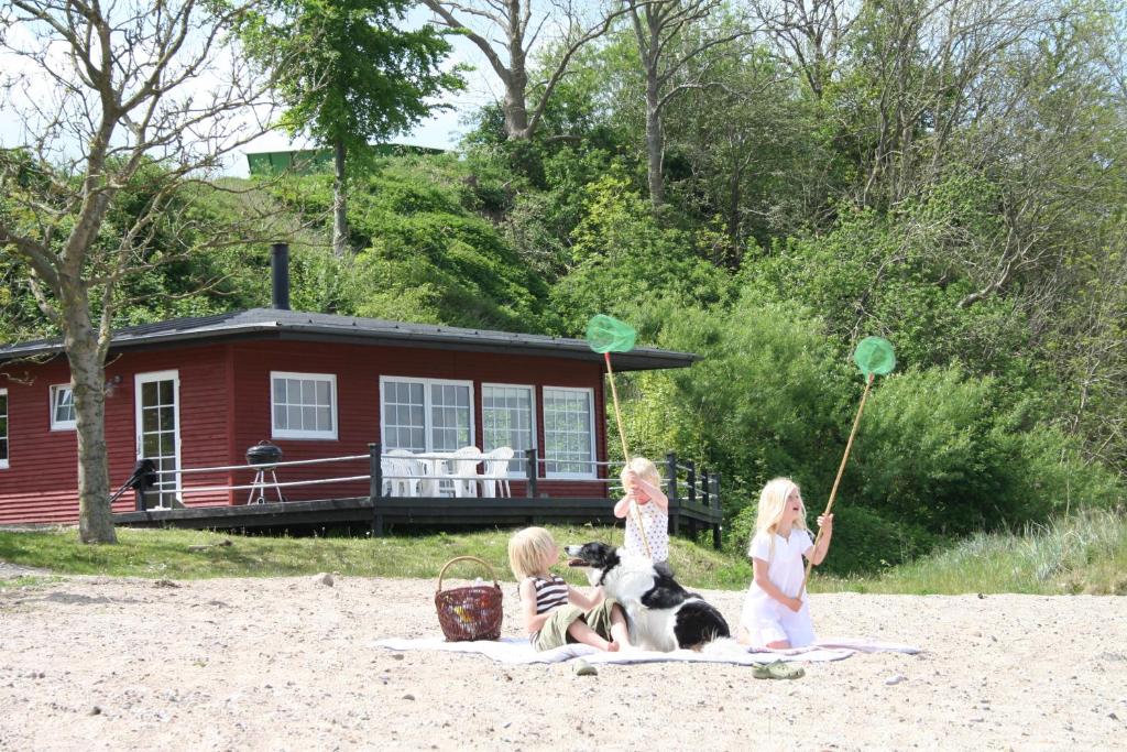 Loff Holiday Houses photo 4
